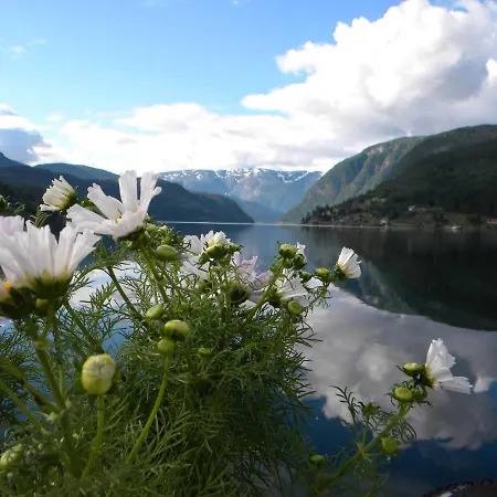 Brakanes Ulvik