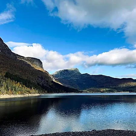 Brakanes Ulvik
